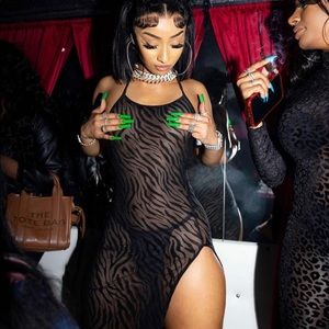 Black zebra sheer dress